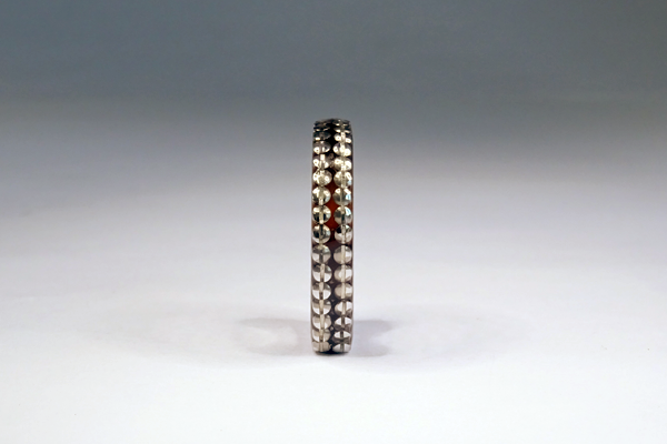 プラフレーム　グラスリメイク　リングサンプル