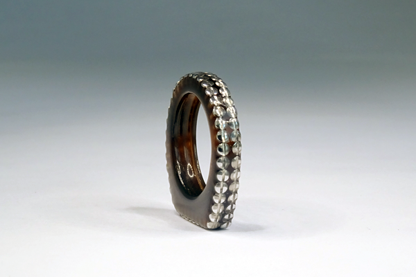 プラフレーム　グラスリメイク　リングサンプル