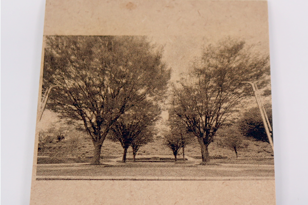 10月お得なサービス