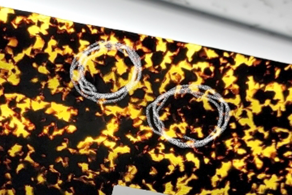 トムブラウン　セル輪　復刻再生