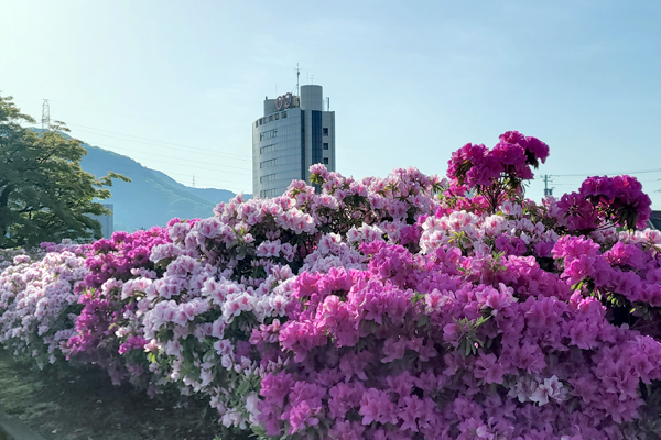 GWは鯖江にきてね