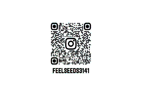instagram QR.png