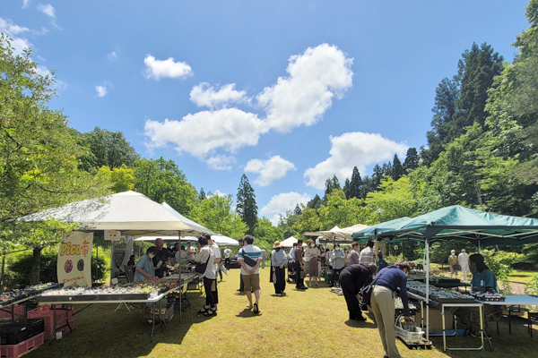 ボタニカルマルシェ
