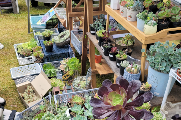 ボタニカルマルシェ