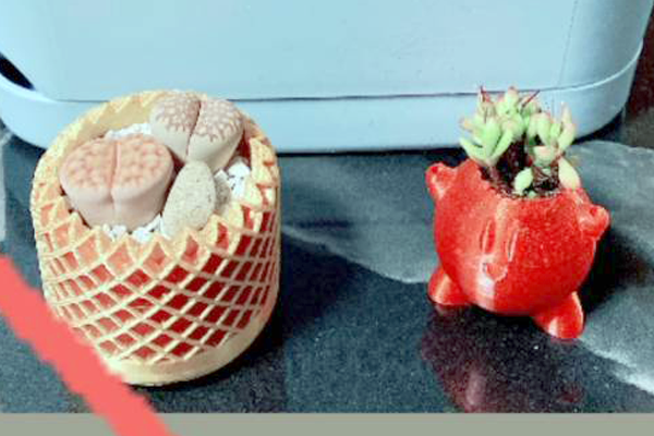 ボタニカルマルシェ