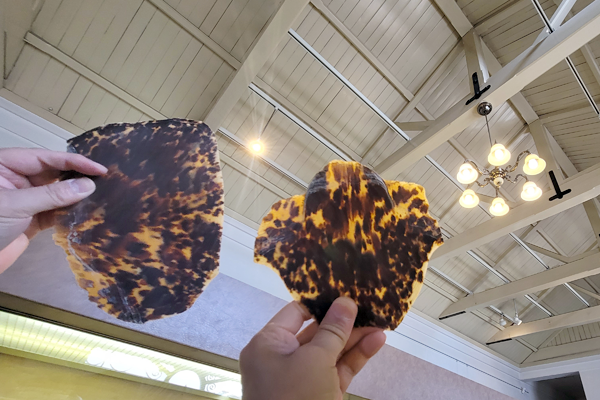 べっ甲の歴史 べっ甲工芸館