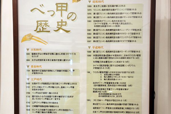べっ甲の歴史 べっ甲工芸館