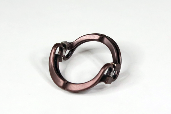 トニーセイム　グラスリメイク　リング