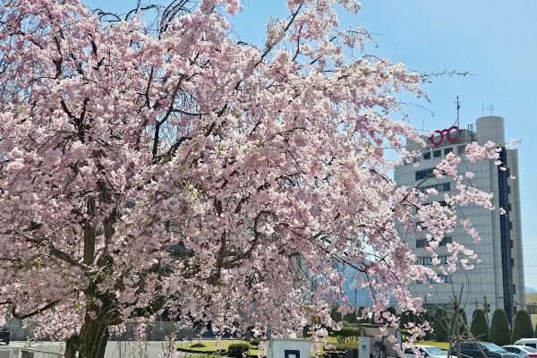 ゴールデンウィーク営業日