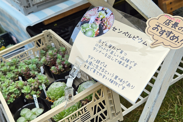 2024 福井 ボタニカルマルシェ