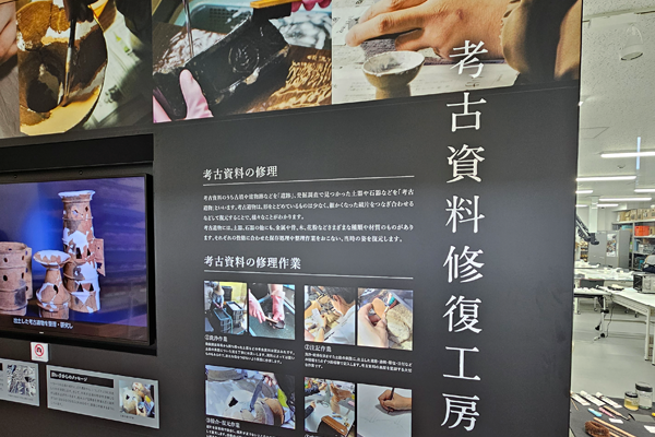 文化財修復見学