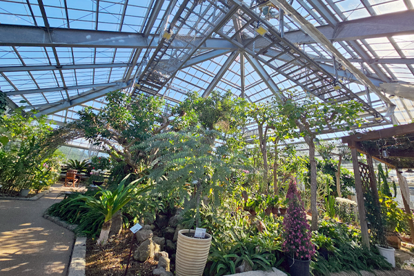 ナイフヴィレッジ