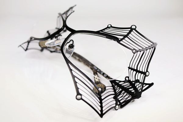 蜘蛛の巣めがね？